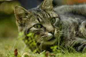 London Herbst 2012-1 083