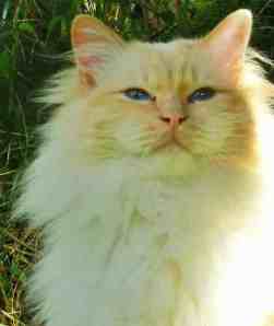 P8150017_101-102009082