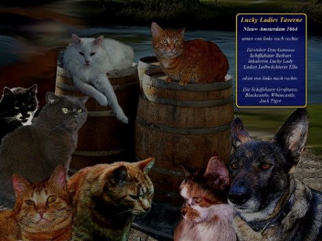 Bild D 11 - auch als ca. 40x50 cm Fotoposter für 12,50 € incl. Porto